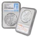 1 oz American Silver Eagle Coin I815