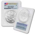 1 oz American Silver Eagle Coin MS-70 U6283