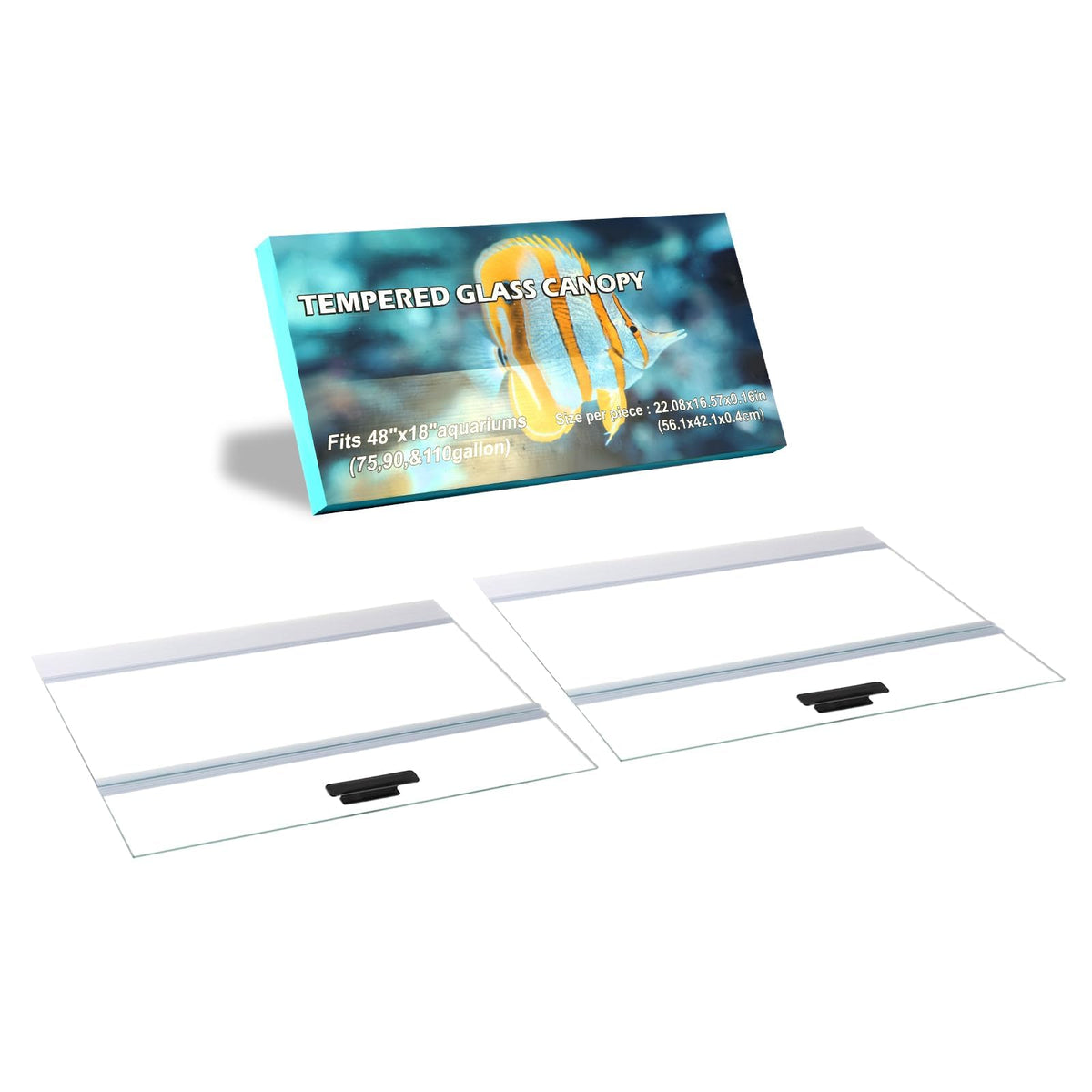 Clear Tempered Glass Canopy Y51765