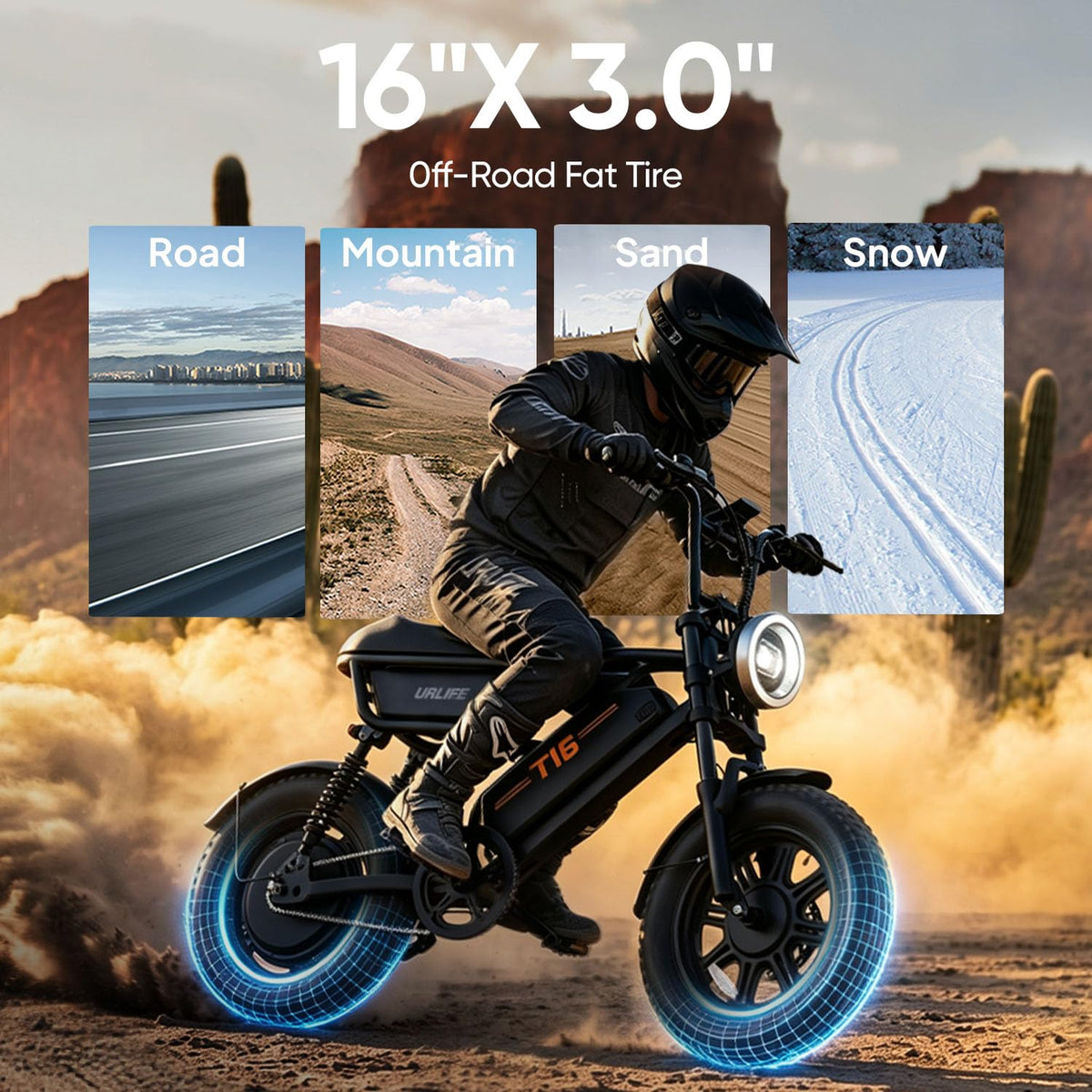 1000W Peak Electric Bike with 48V 13AH Battery, 16" Fat Tire A1178