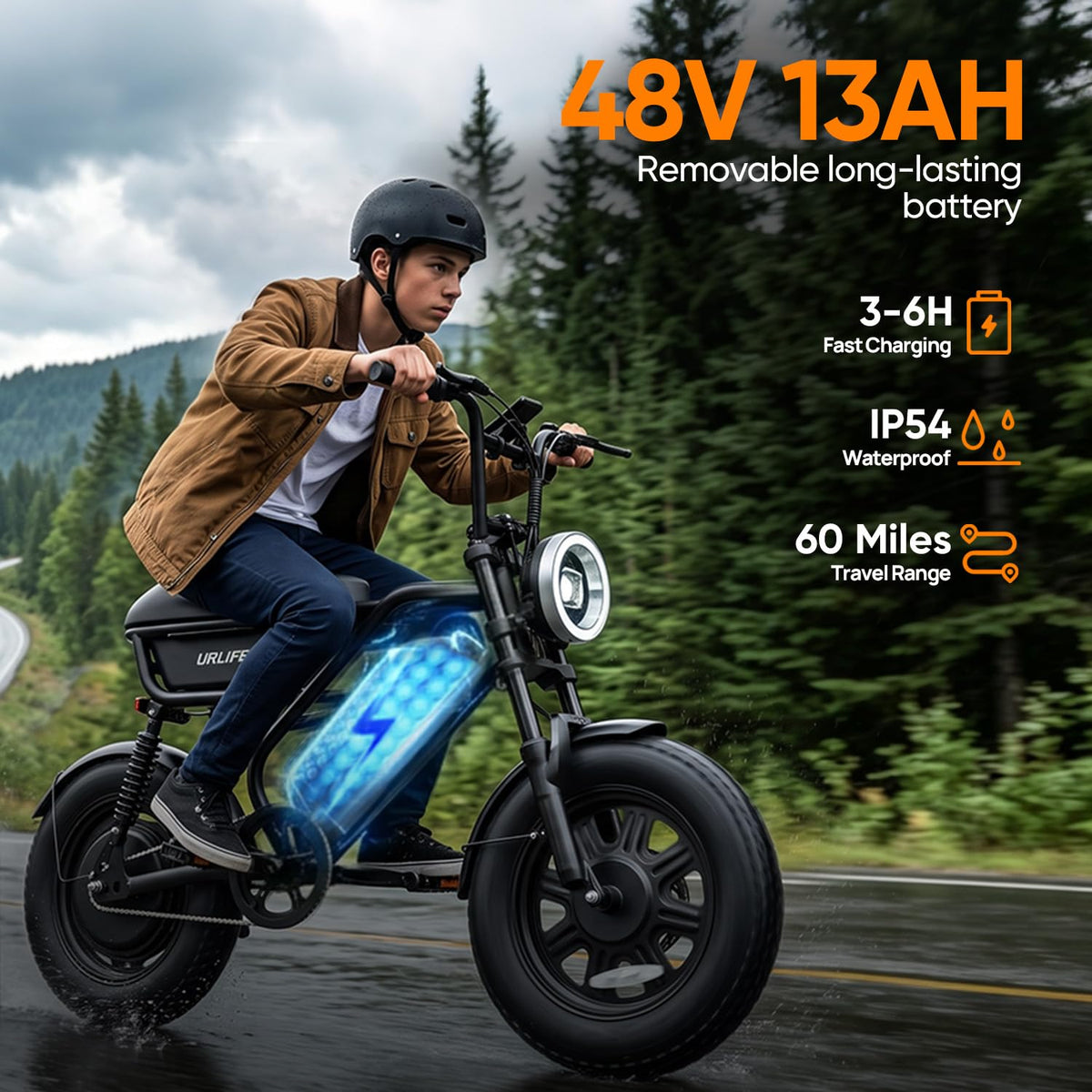 1000W Peak Electric Bike with 48V 13AH Battery, 16" Fat Tire A1178