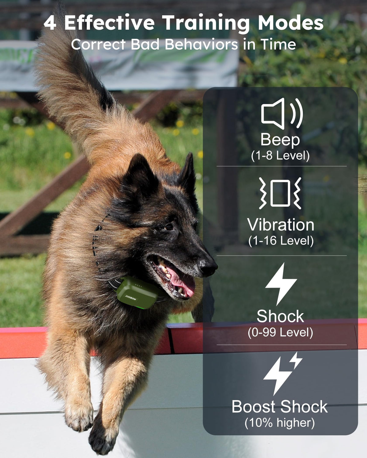 2 Dogs Shock Collar with Remote C314999