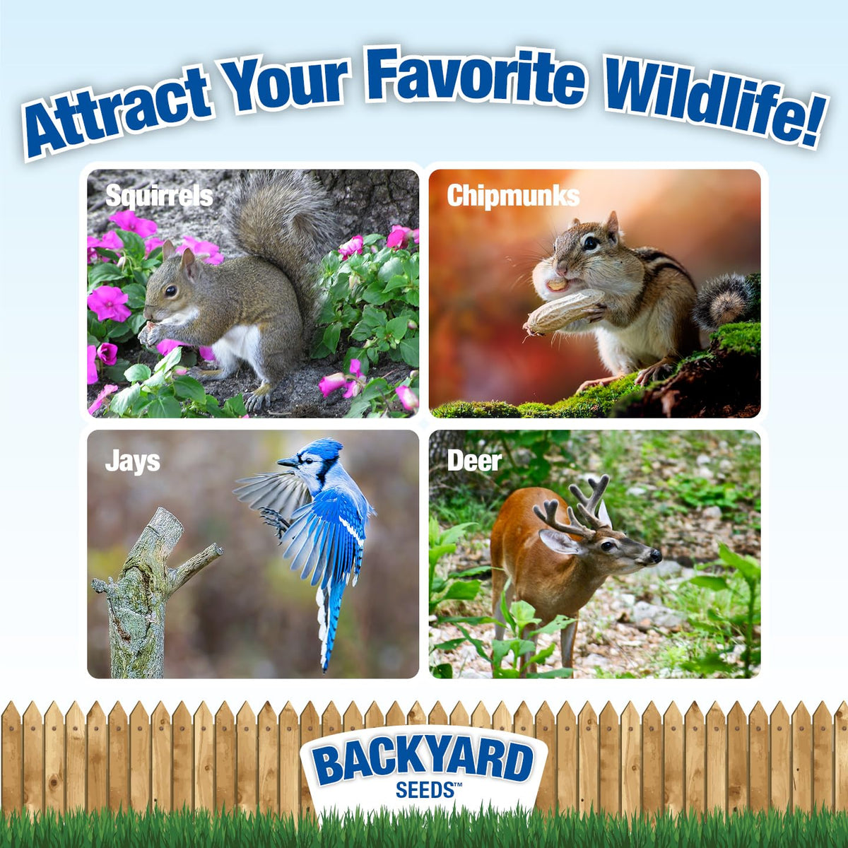 Backyard Wildlife Feed H56336